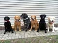 Most of the Gang!